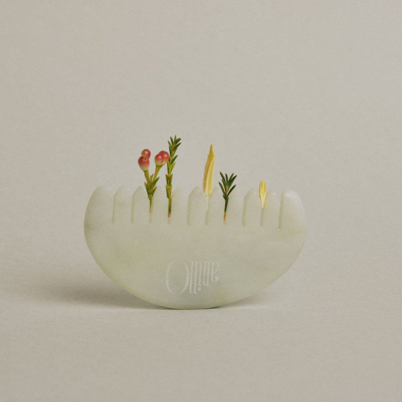 Jade Guasha Comb - Sokobox